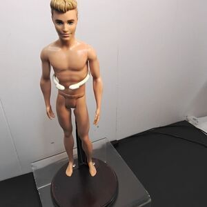 Mattel Ken Male Fashion Doll